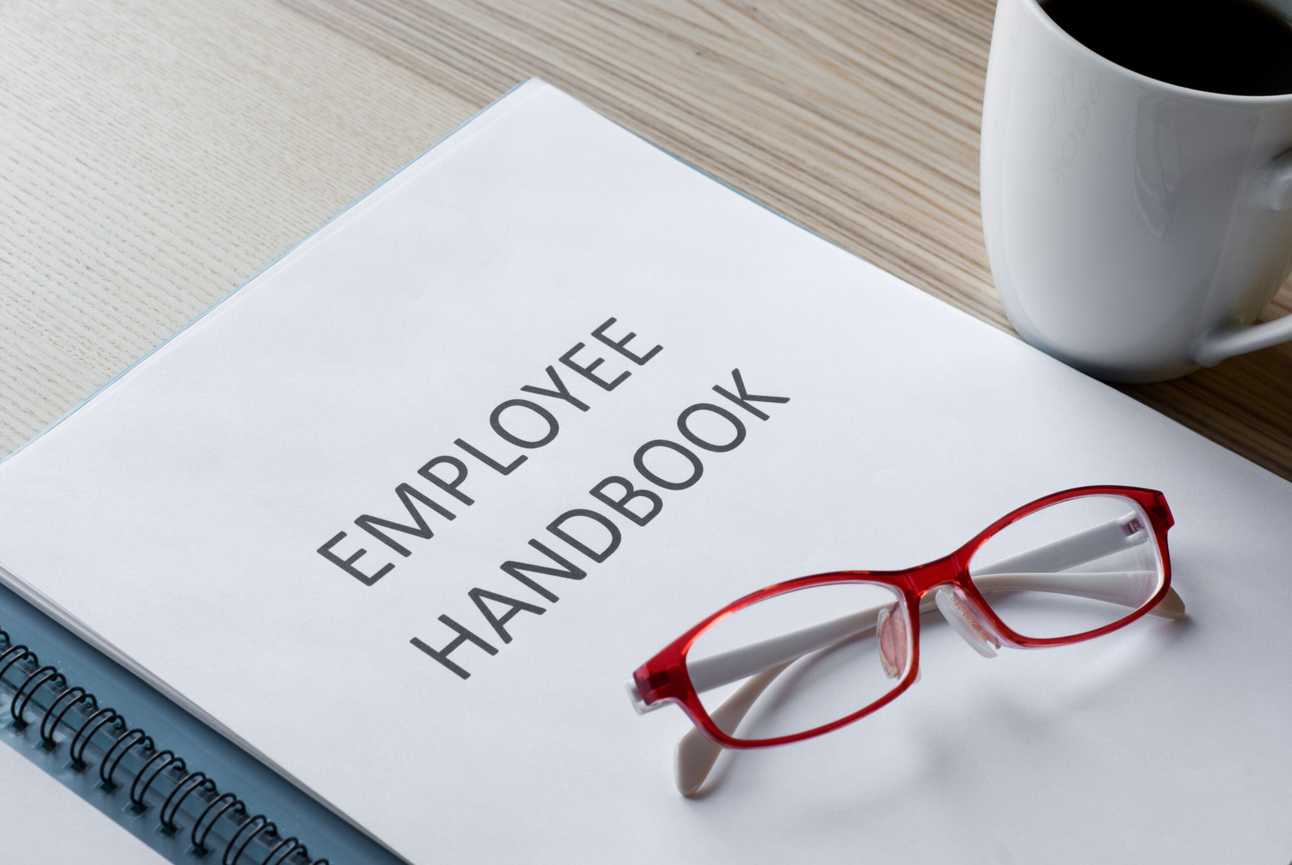 March 2, 2021:  “Drafting Employee Handbooks.” (DC Bar CLE Program)